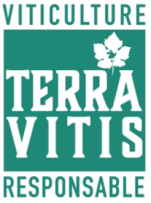 Logo Terra Vitis